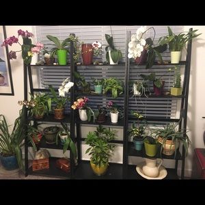 Meet your Posher, Nancy